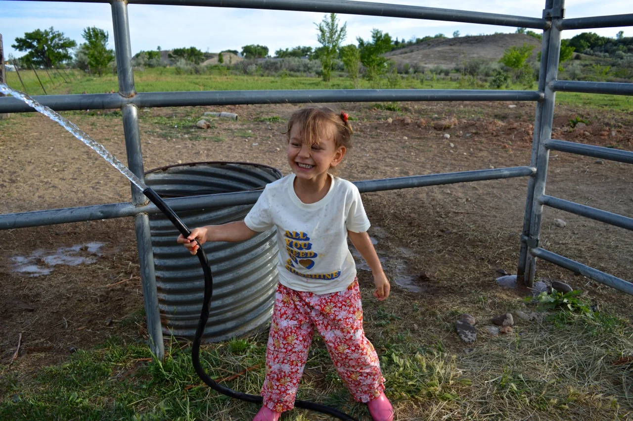 Olathe June 2018 1.jpg