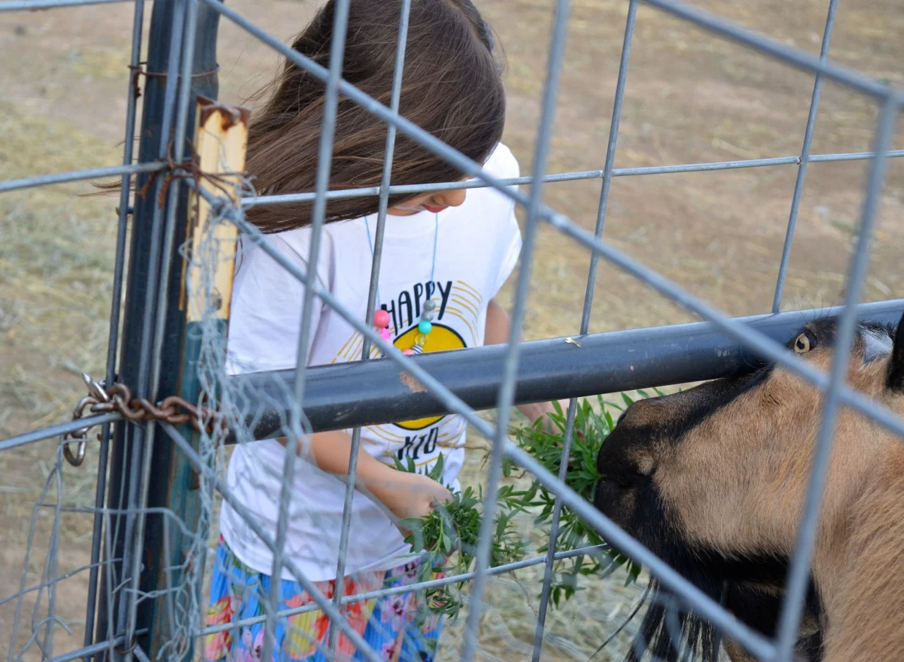 Olathe June 2018 14.jpg