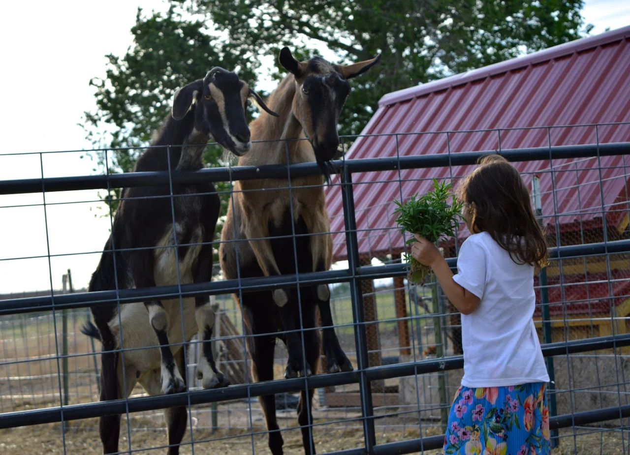 Olathe June 2018 17.jpg