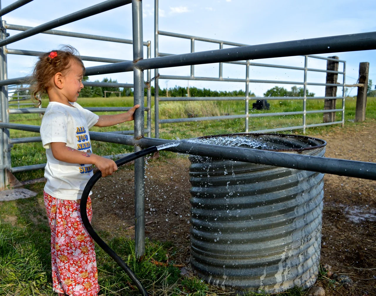 Olathe June 2018 20.jpg