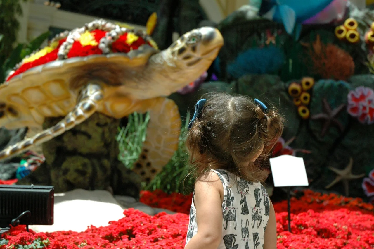 Ventura California Roadtrip Summer 2015 5.jpg