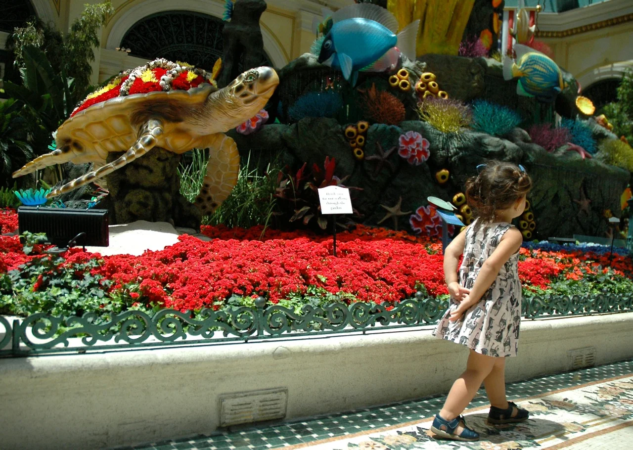 Ventura California Roadtrip Summer 2015 6.jpg