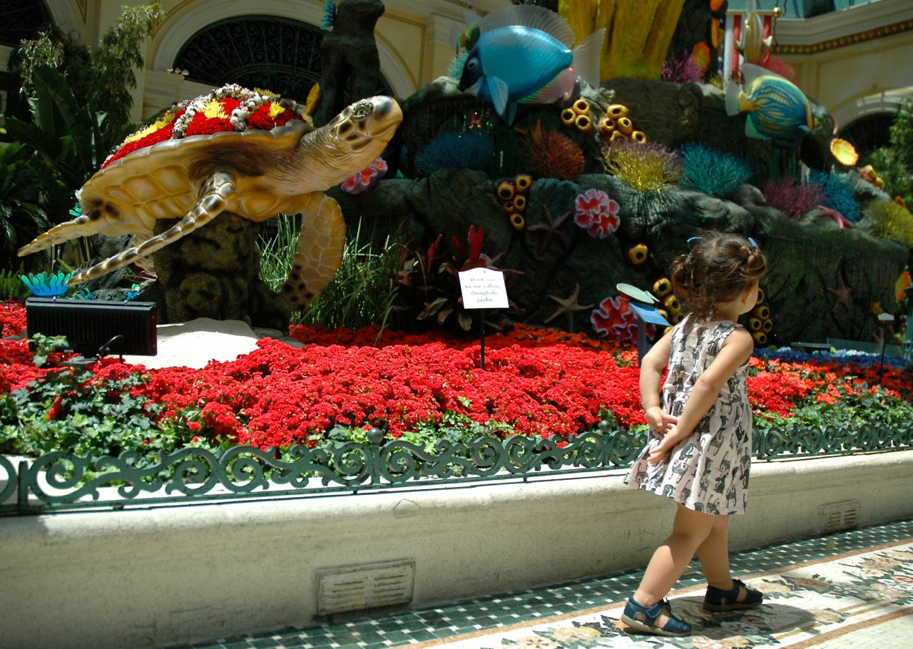 Ventura California Roadtrip Summer 2015 6.jpg