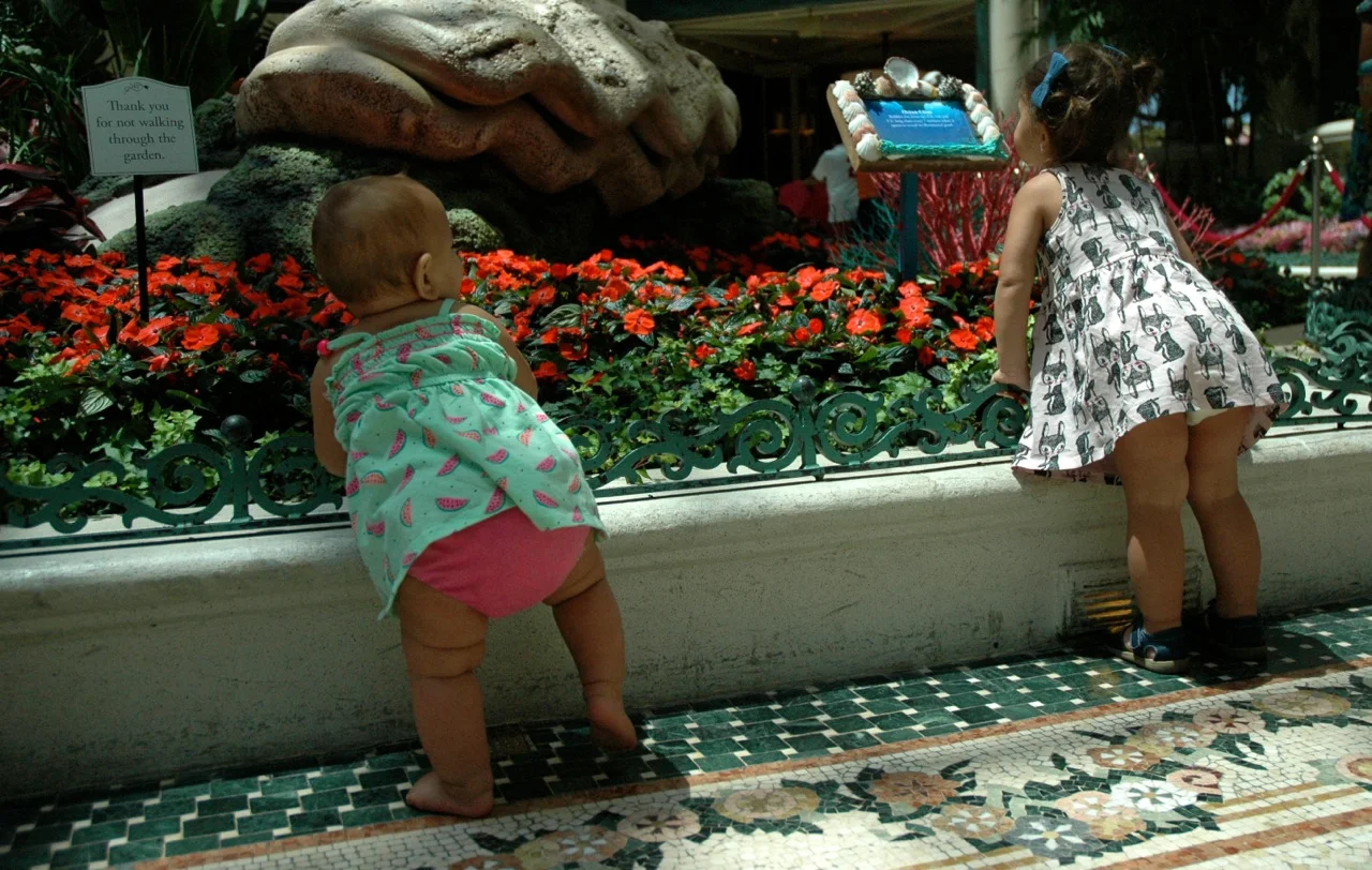 Ventura California Roadtrip Summer 2015 8.jpg