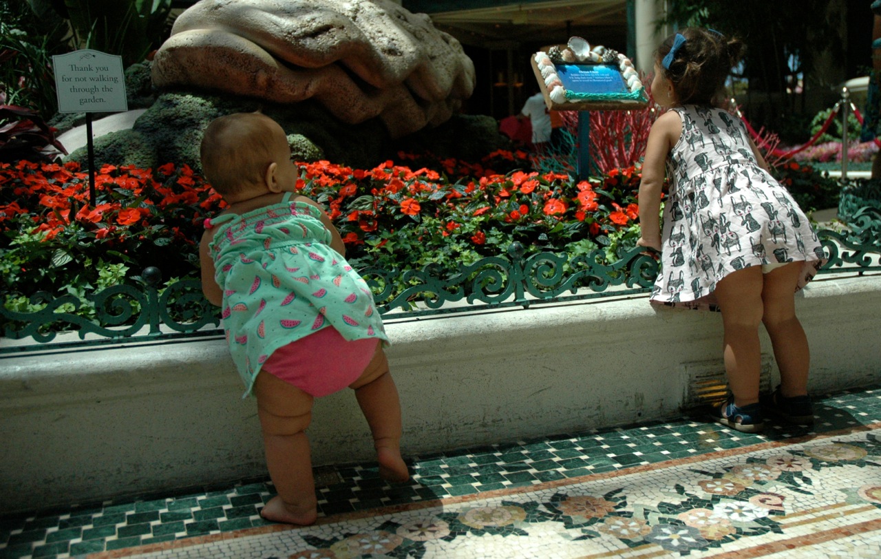 Ventura California Roadtrip Summer 2015 8.jpg