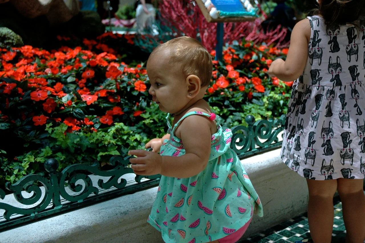 Ventura California Roadtrip Summer 2015 11.jpg
