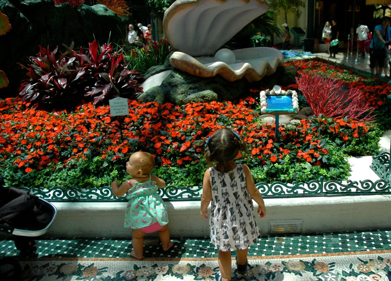 Ventura California Roadtrip Summer 2015 10.jpg