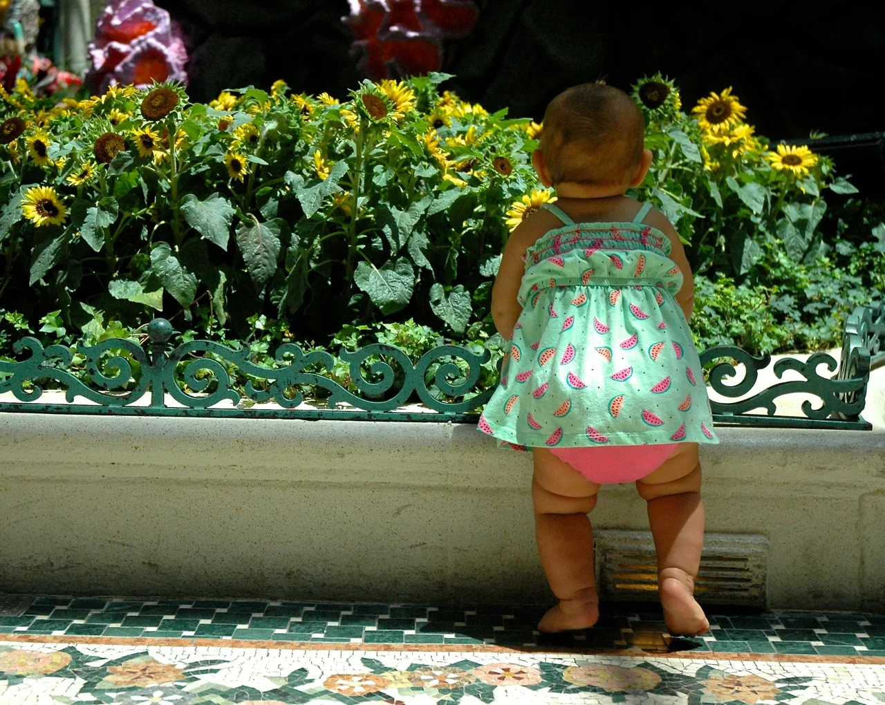 Ventura California Roadtrip Summer 2015 32.jpg