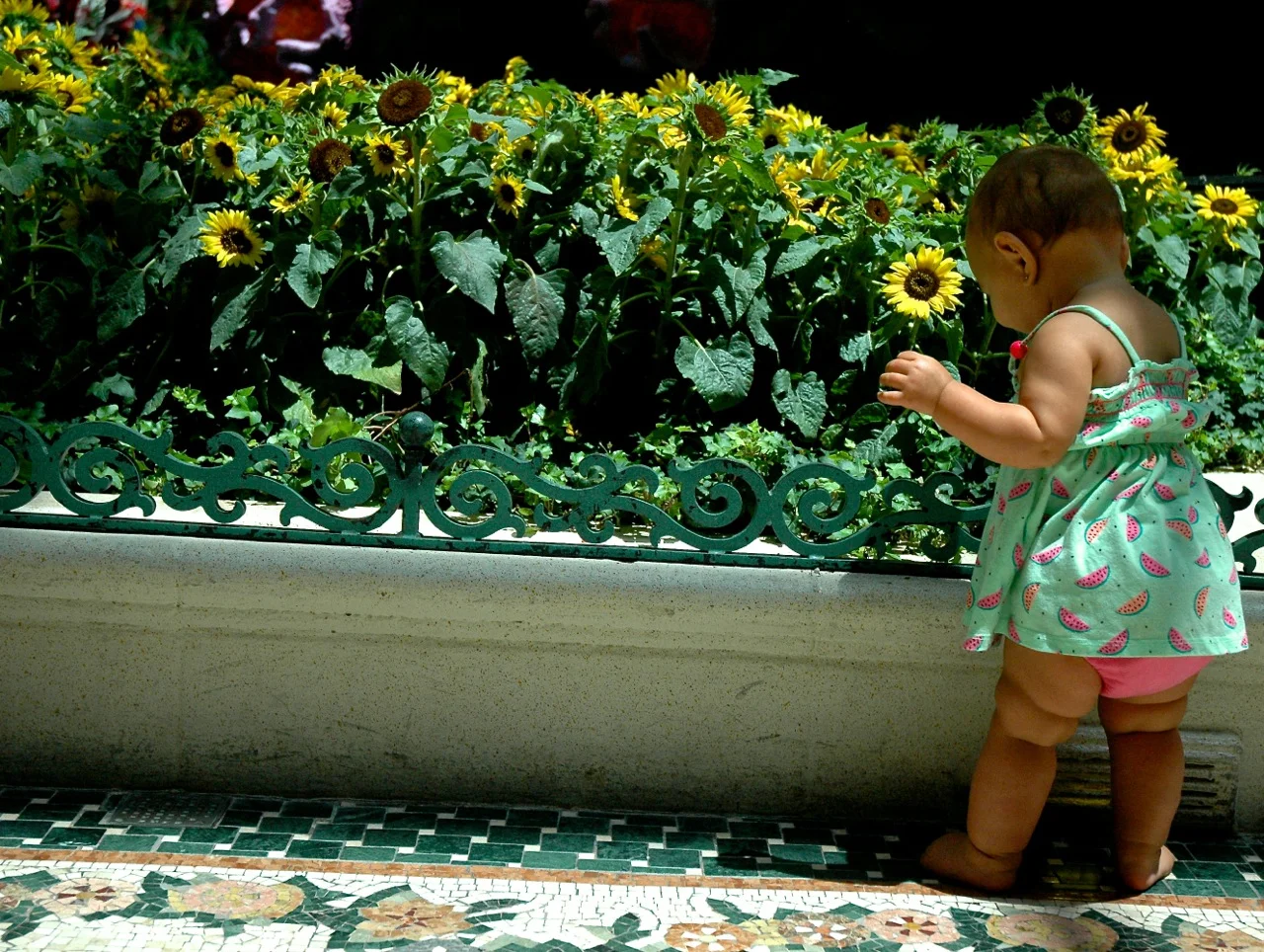 Ventura California Roadtrip Summer 2015 33.jpg