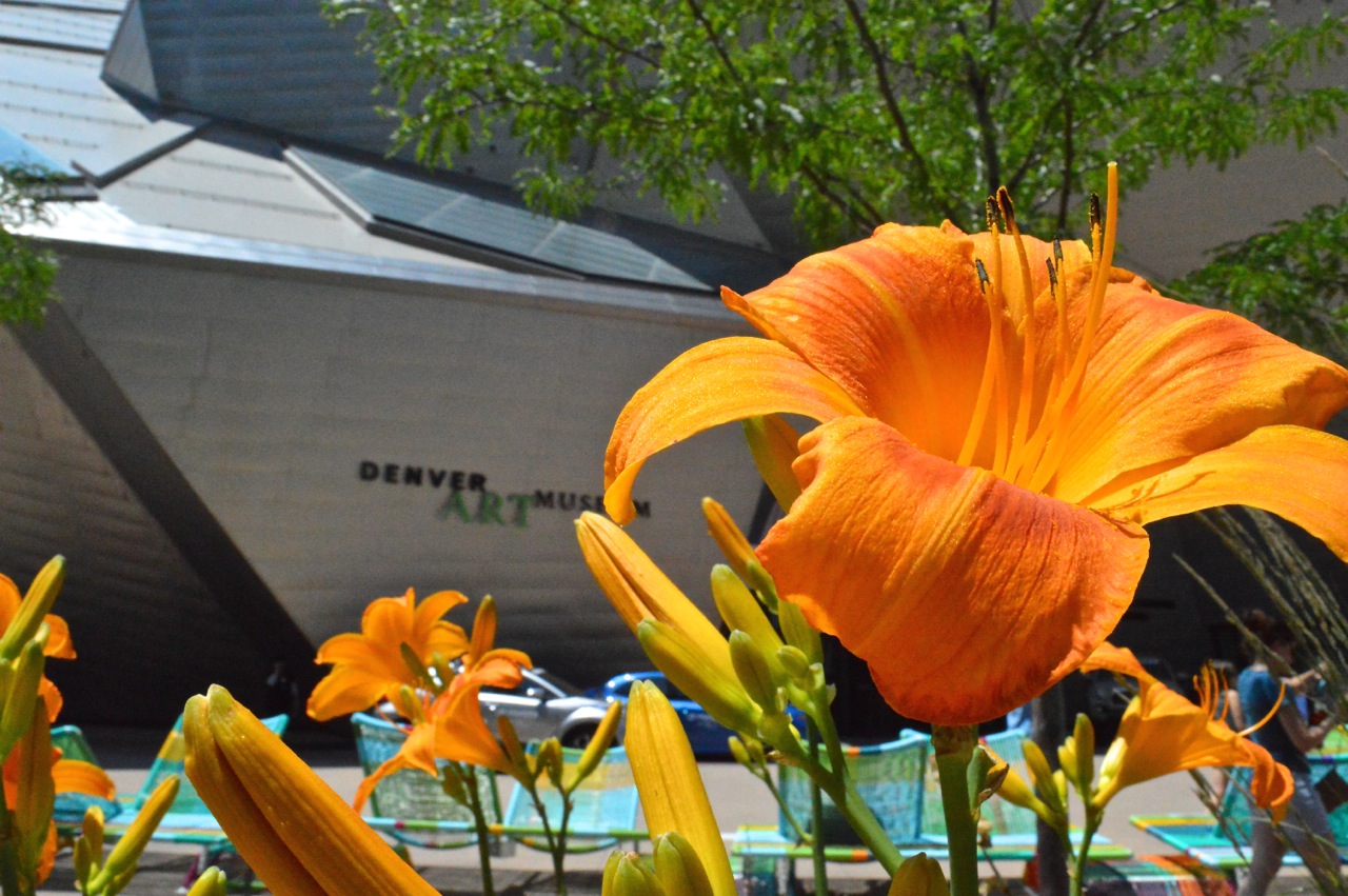 Denver Art Museum July 2018 6.jpg