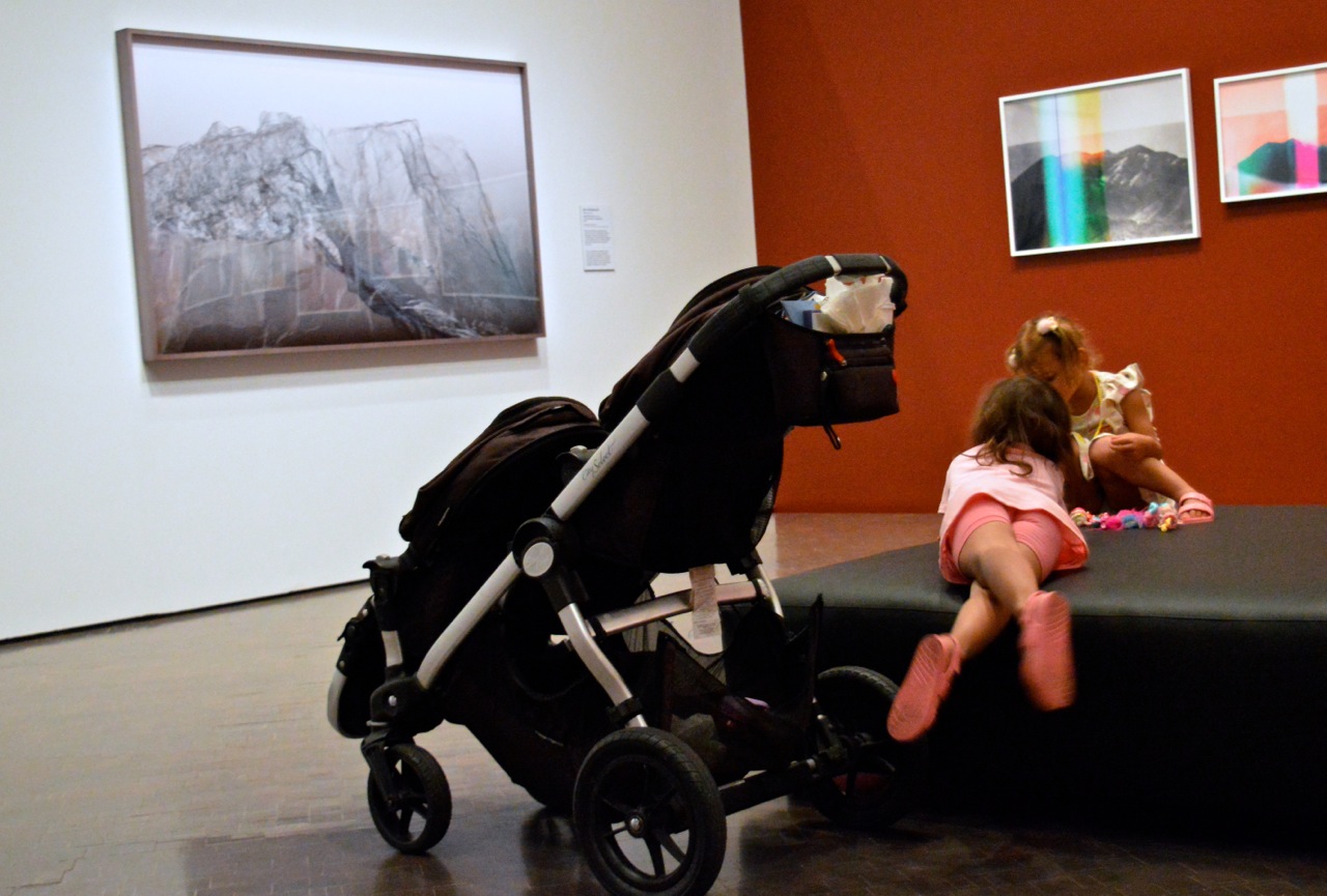 Denver Art Museum July 2018 51.jpg