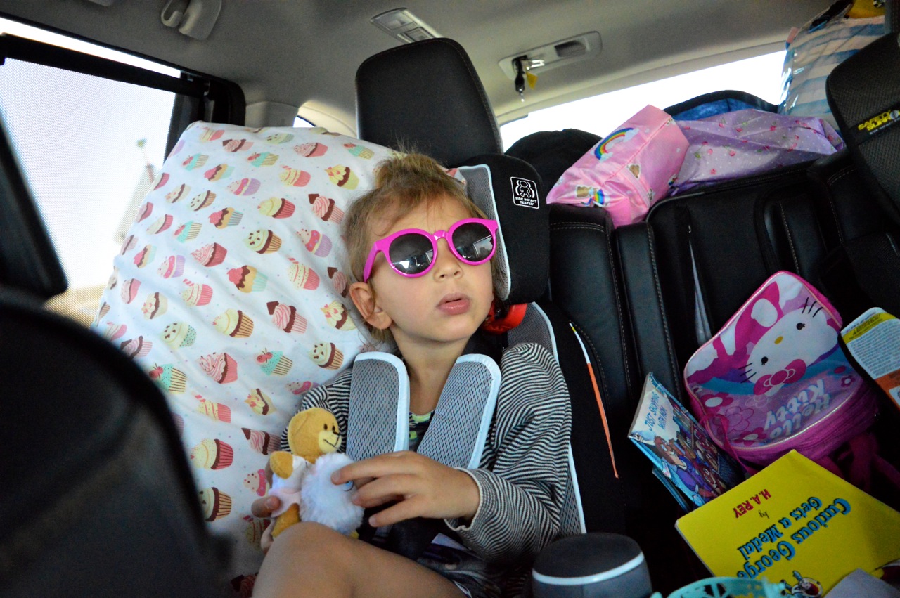 Roadtrip with Toddlers 12.jpg