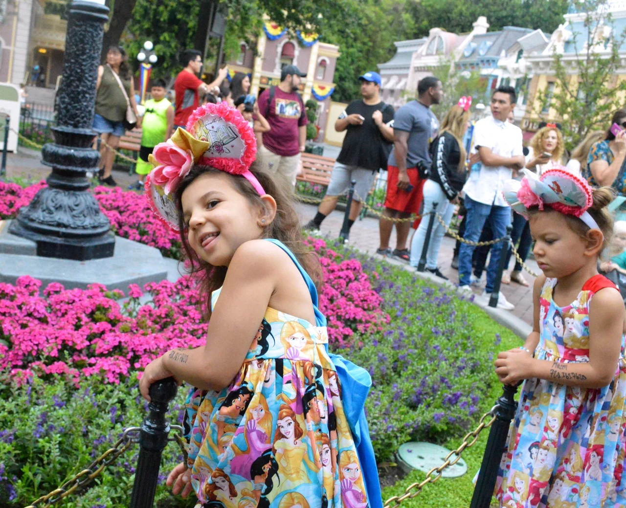 Disneyland July 2018 4.jpg