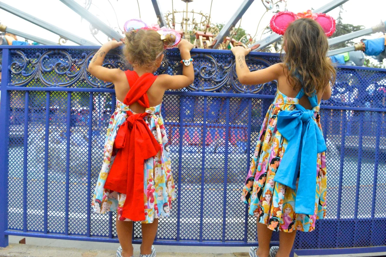 Disneyland July 2018 10.jpg