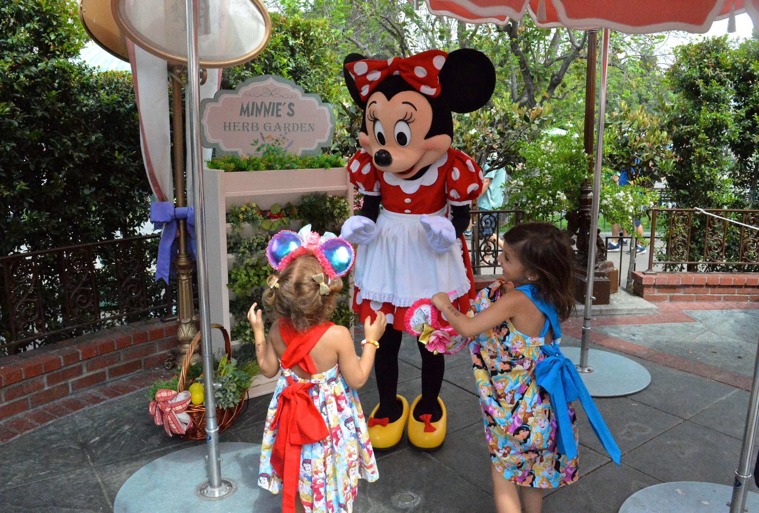 Disneyland July 2018 21.jpg