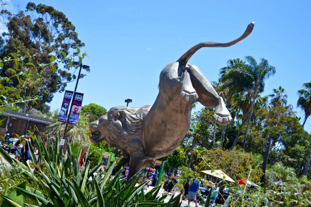 San Diego Zoo July 2018 2.jpg