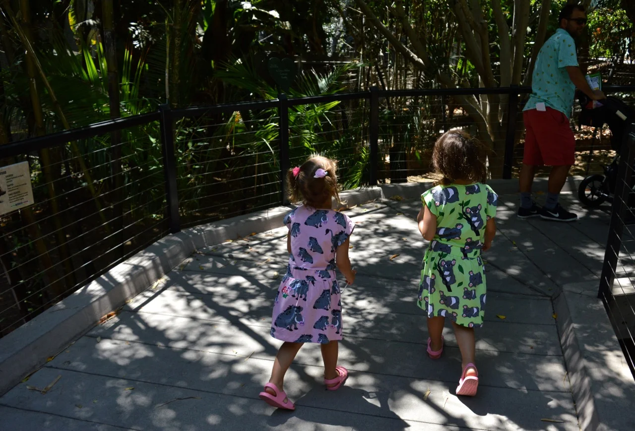 San Diego Zoo July 2018 4.jpg