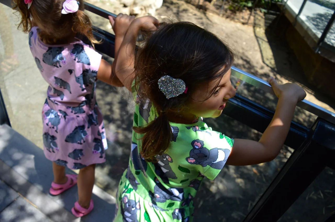 San Diego Zoo July 2018 6.jpg