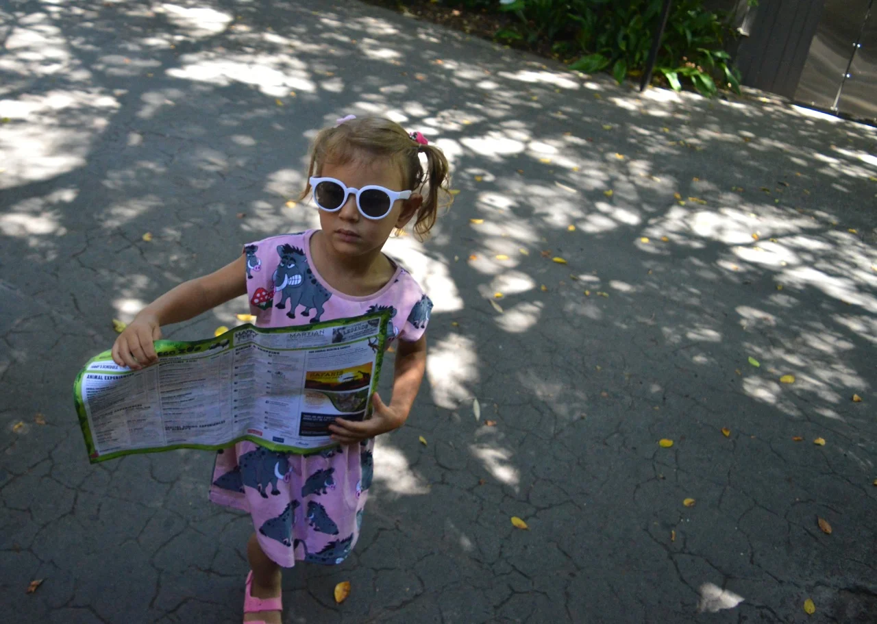 San Diego Zoo July 2018 7.jpg