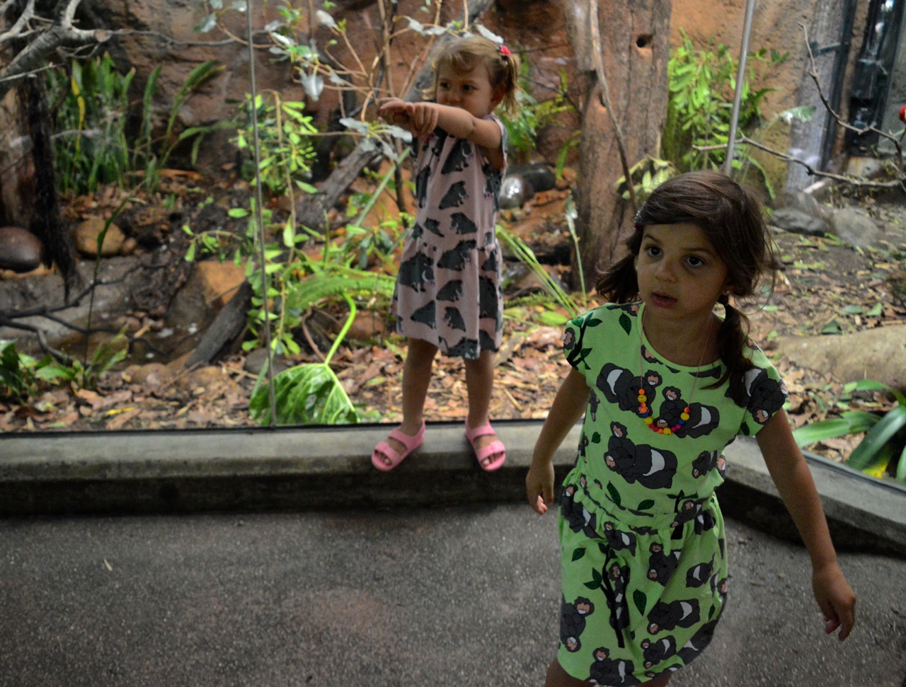 San Diego Zoo July 2018 11.jpg