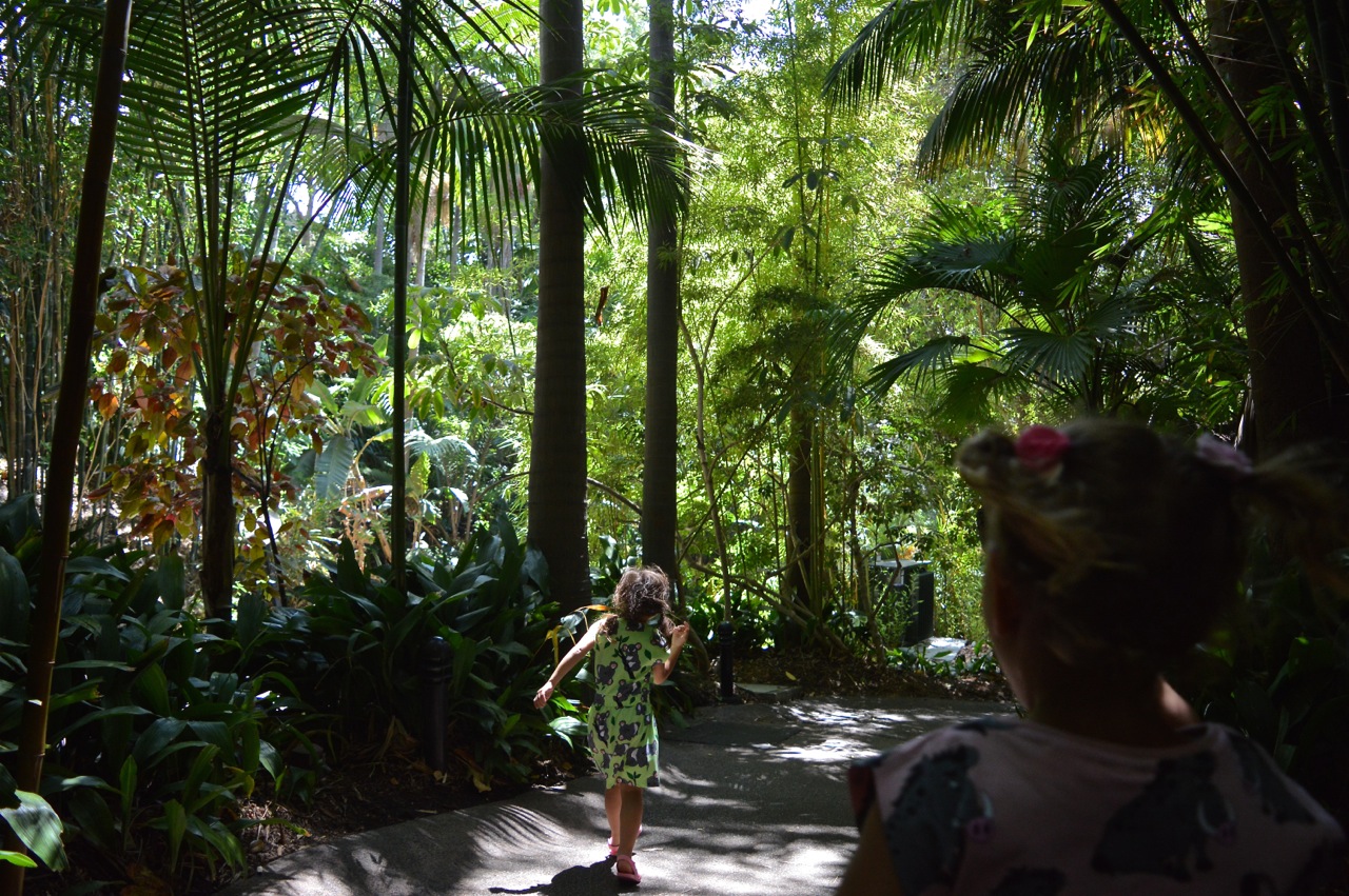 San Diego Zoo July 2018 12.jpg
