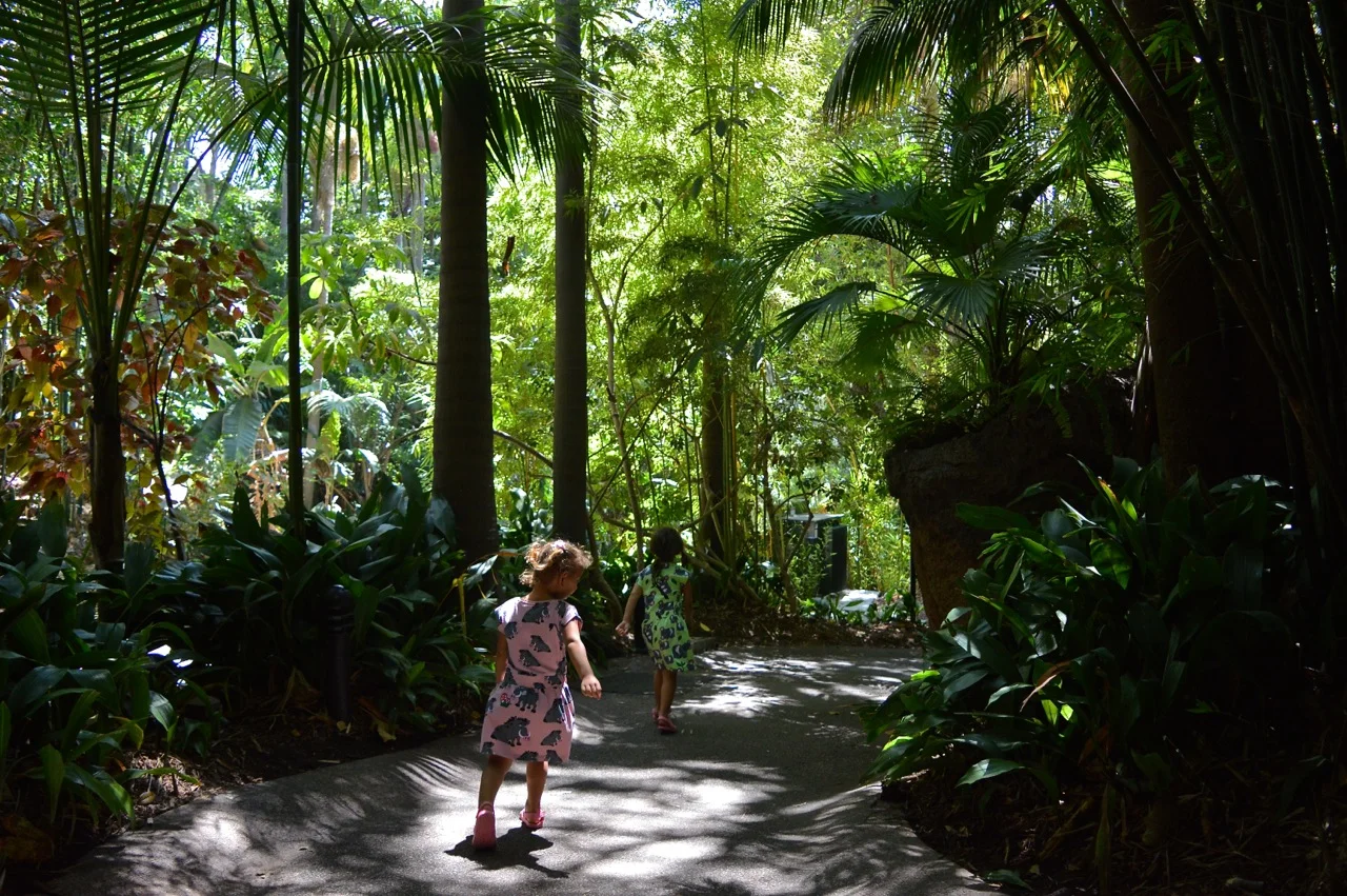 San Diego Zoo July 2018 13.jpg