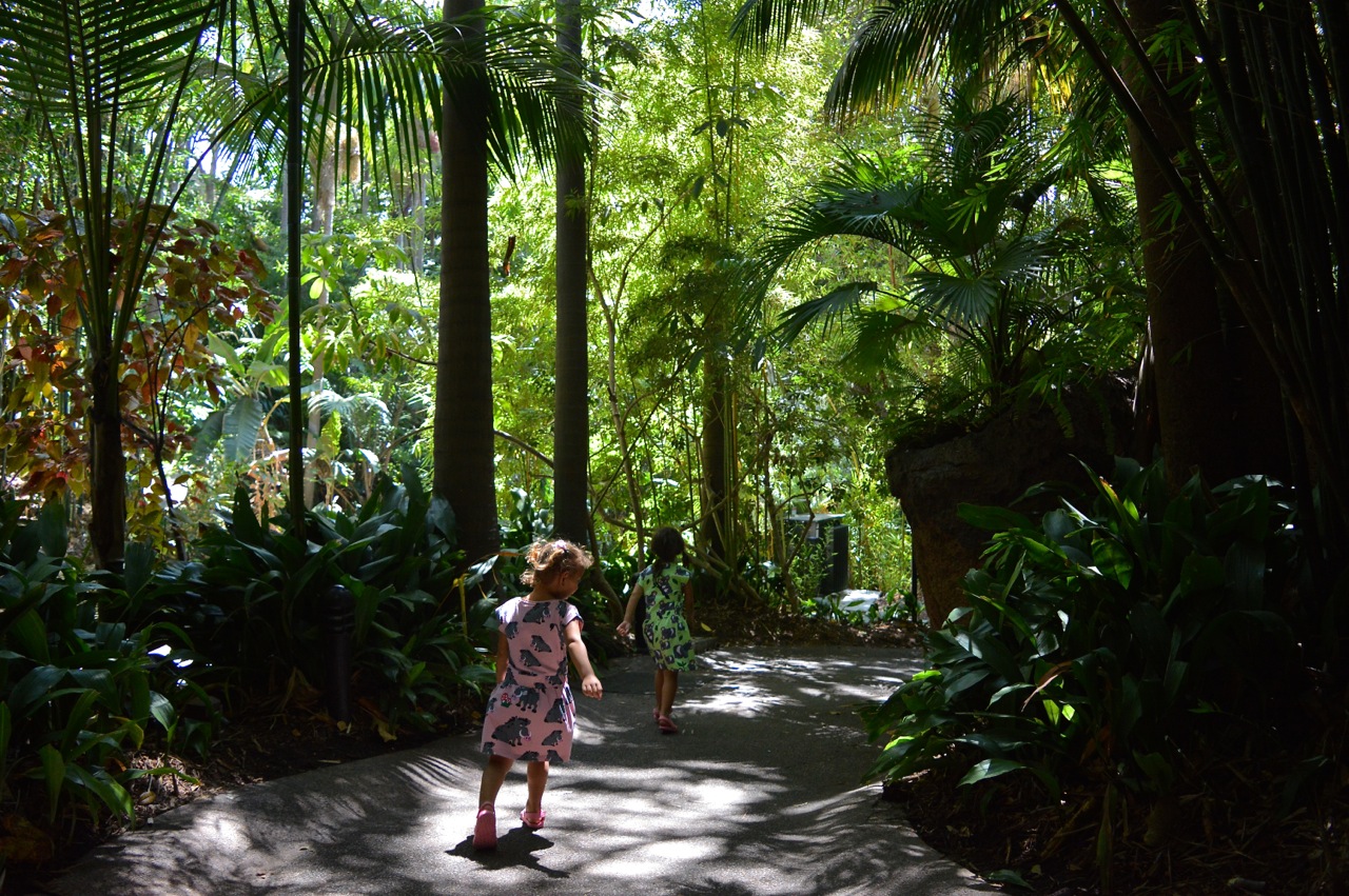 San Diego Zoo July 2018 13.jpg