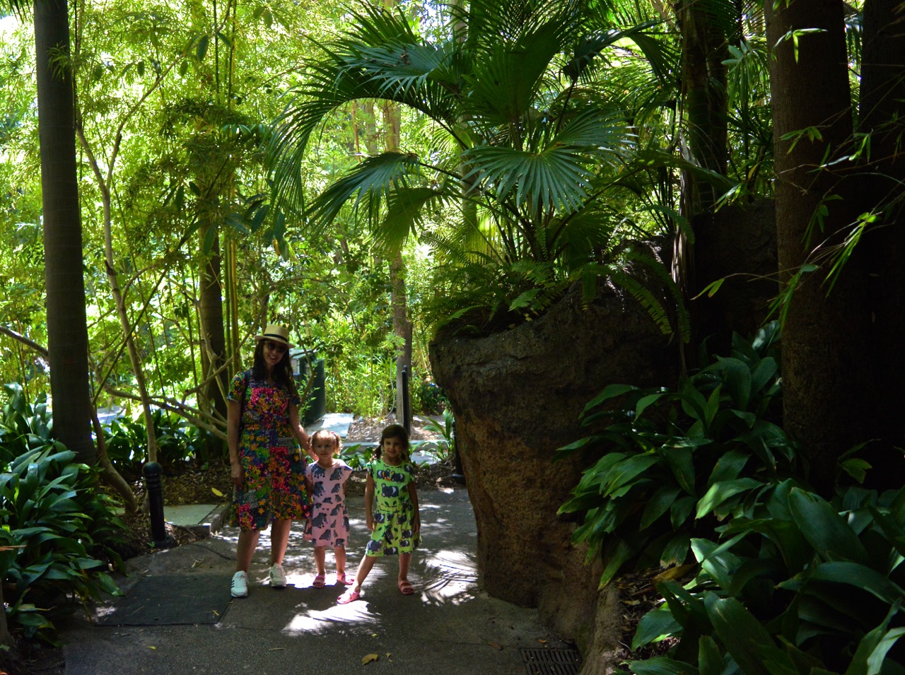 San Diego Zoo July 2018 14.jpg