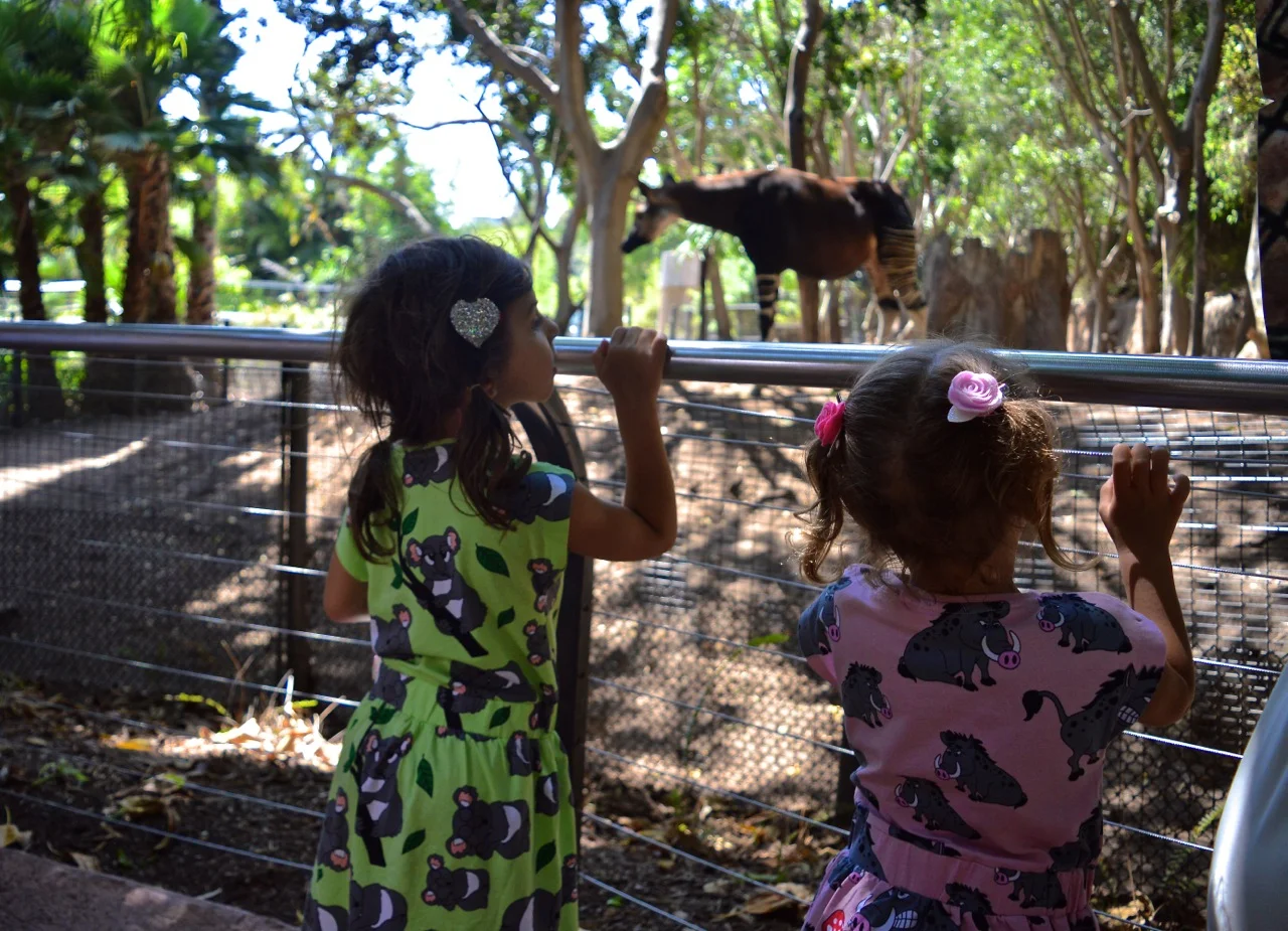 San Diego Zoo July 2018 16.jpg