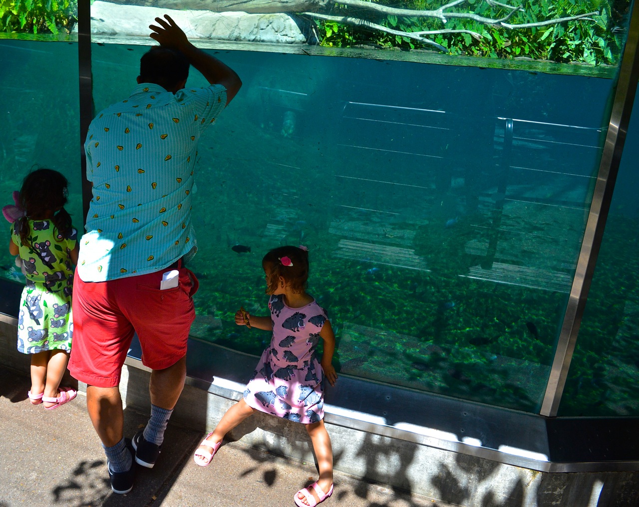 San Diego Zoo July 2018 17.jpg