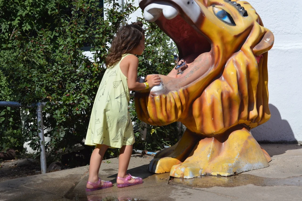 Lakeside Amusement Park August 2018 1.jpg