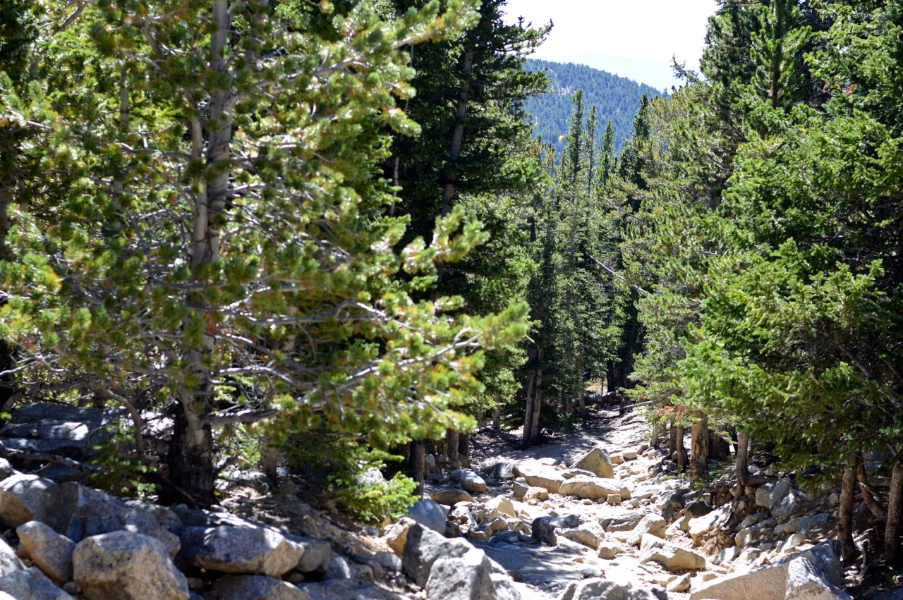 Fall leaf peeping in Colorado 35.jpg