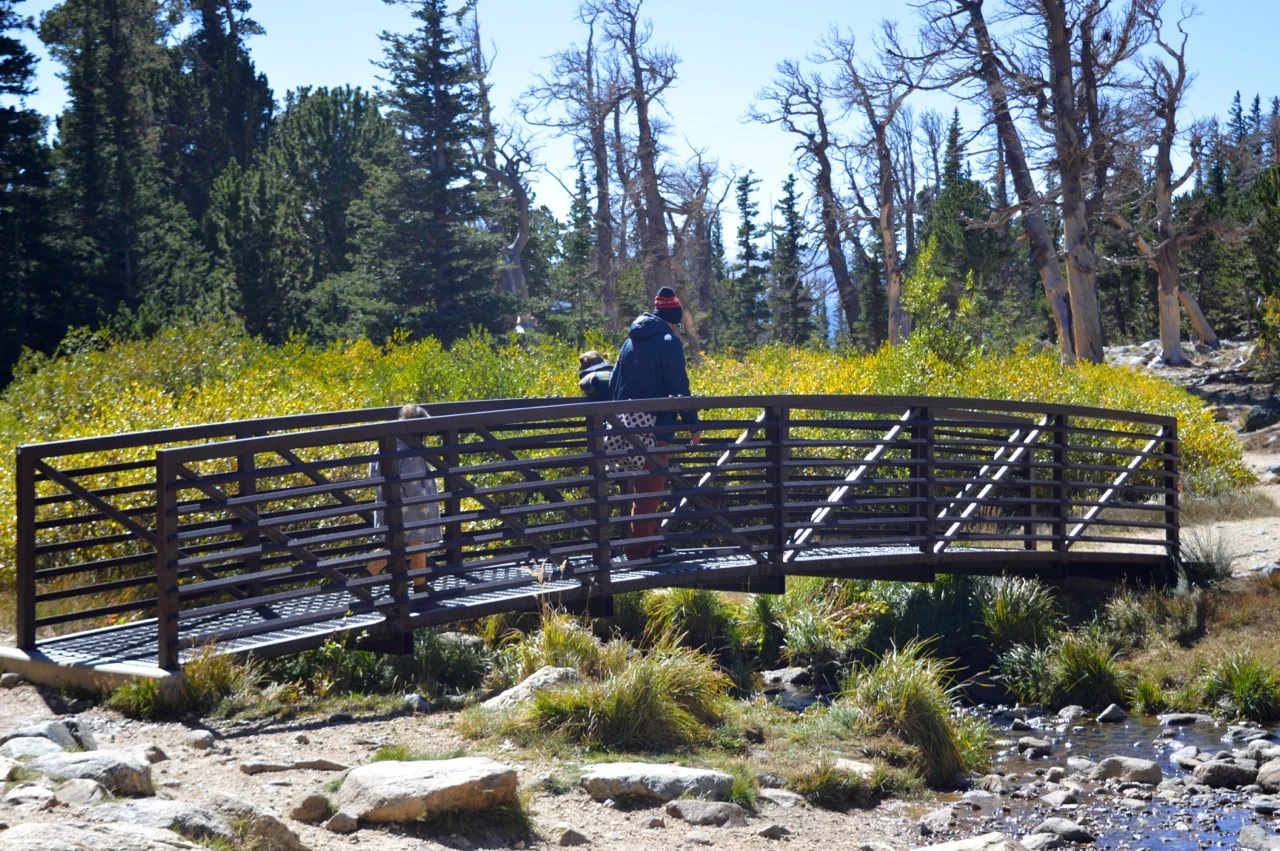 Fall leaf peeping in Colorado 69.jpg