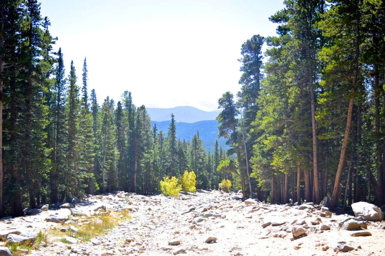 Fall leaf peeping in Colorado 75.jpg