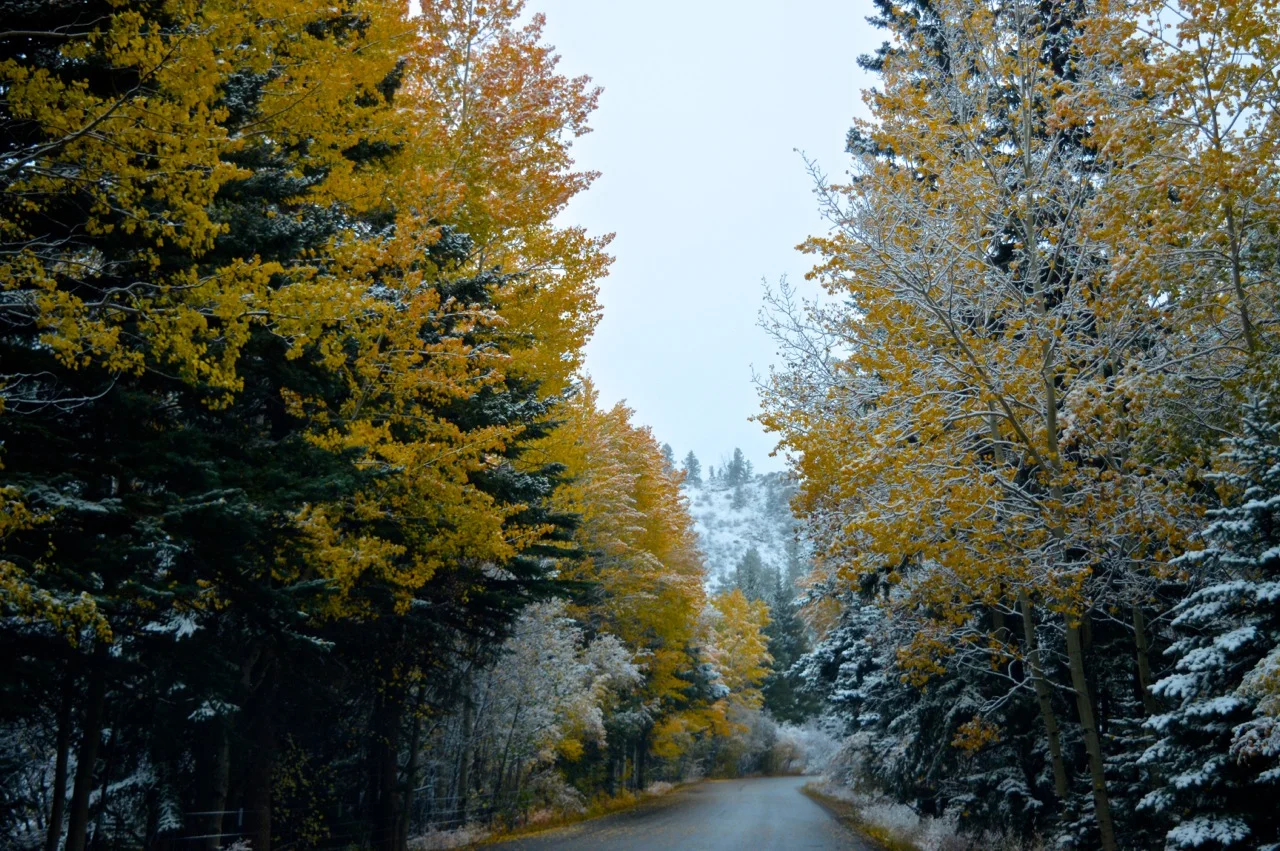 Guanella Pass October 2018 7.jpg