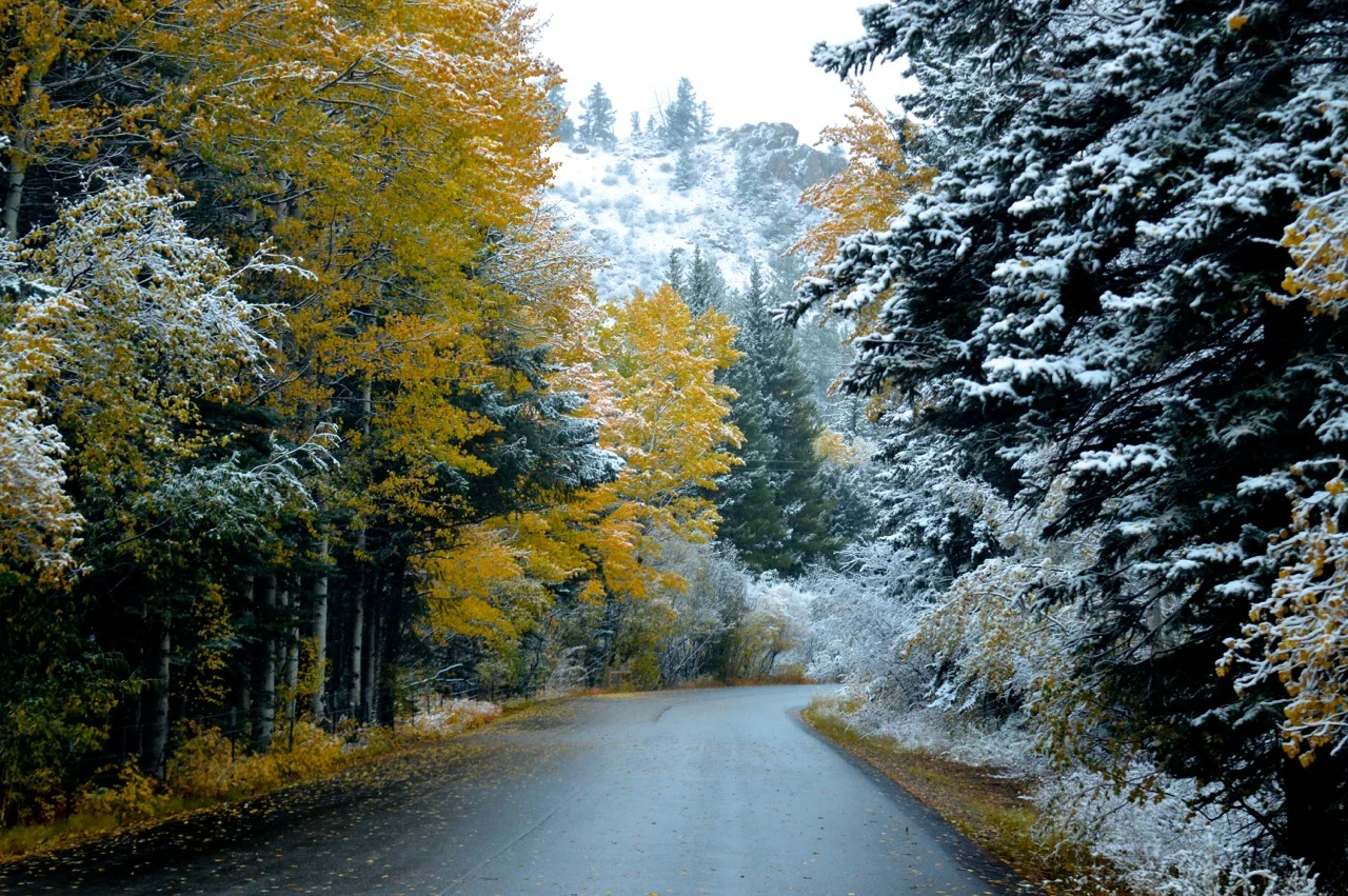 Guanella Pass October 2018 8.jpg