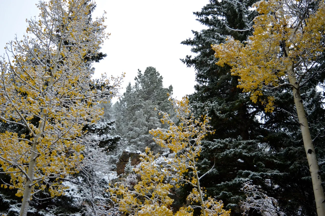 Guanella Pass October 2018 15.jpg
