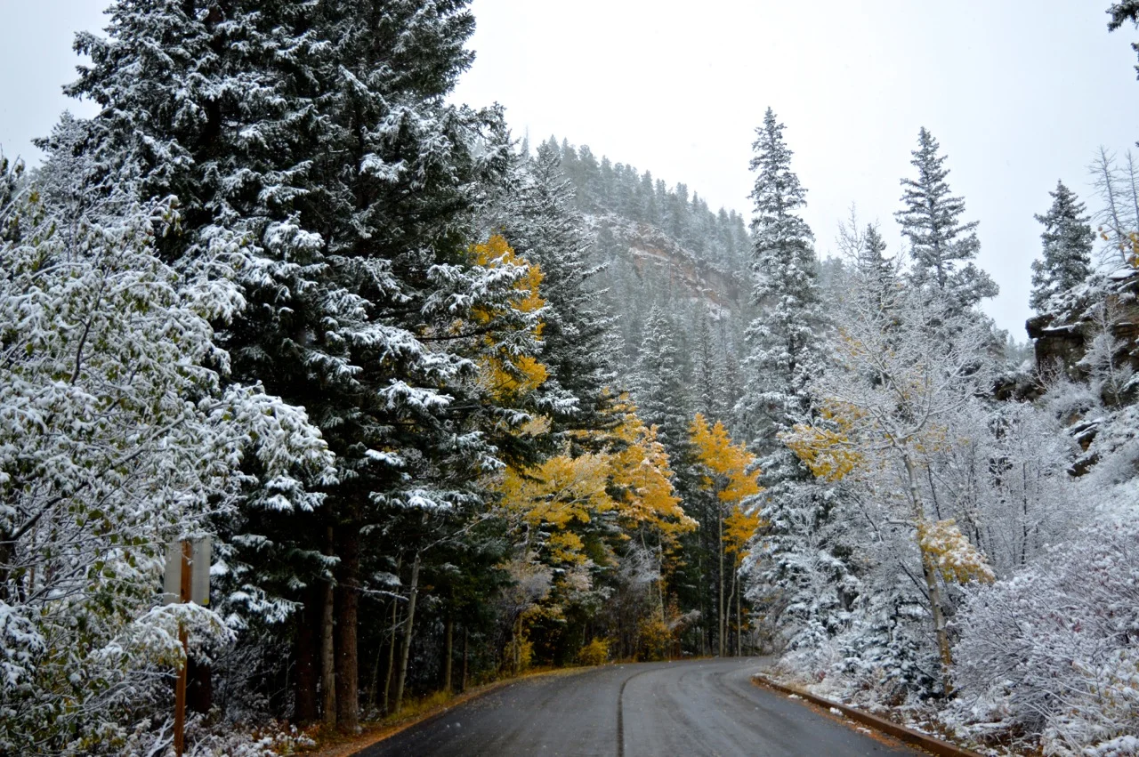 Guanella Pass October 2018 16.jpg