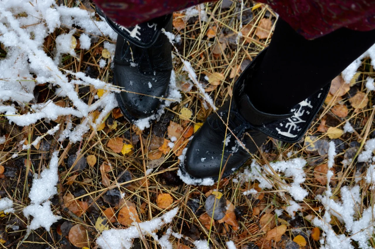 Guanella Pass October 2018 51.jpg