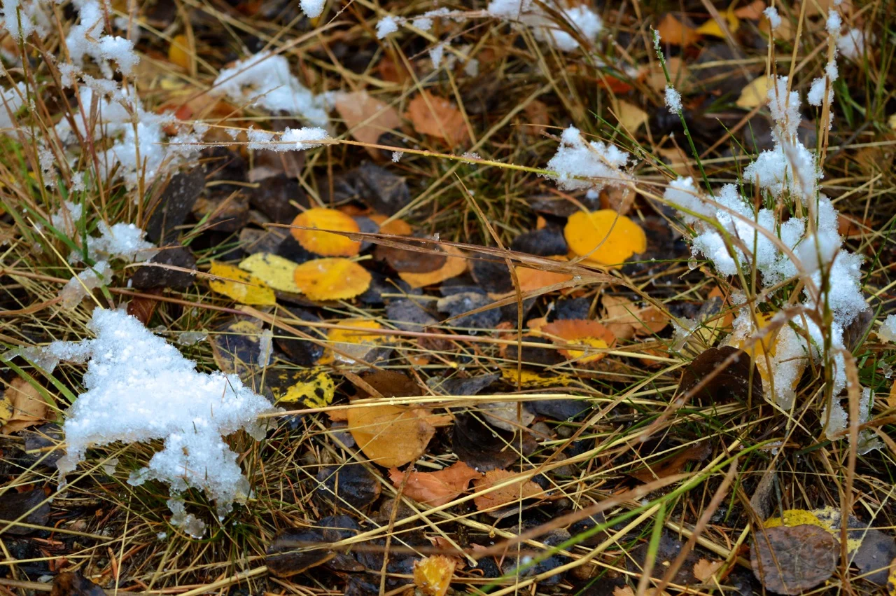 Guanella Pass October 2018 52.jpg