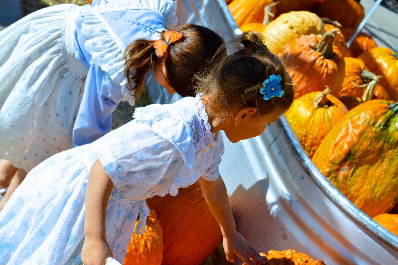 Fall Fest Nick's Garden Center Aurora 8.jpg