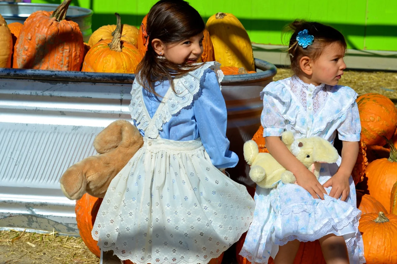 Fall Fest Nick's Garden Center Aurora 9.jpg
