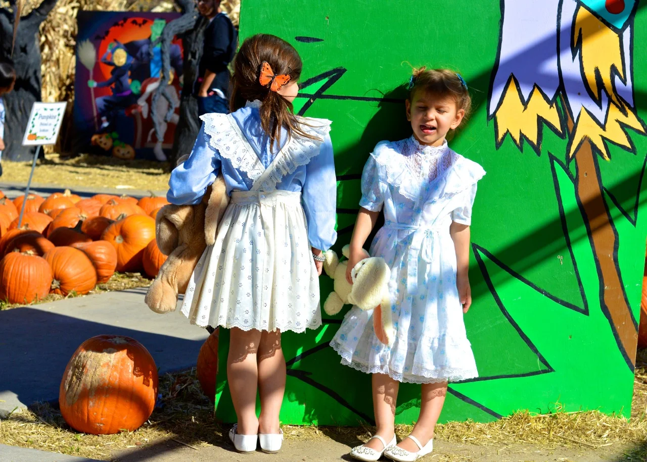 Fall Fest Nick's Garden Center Aurora 11.jpg
