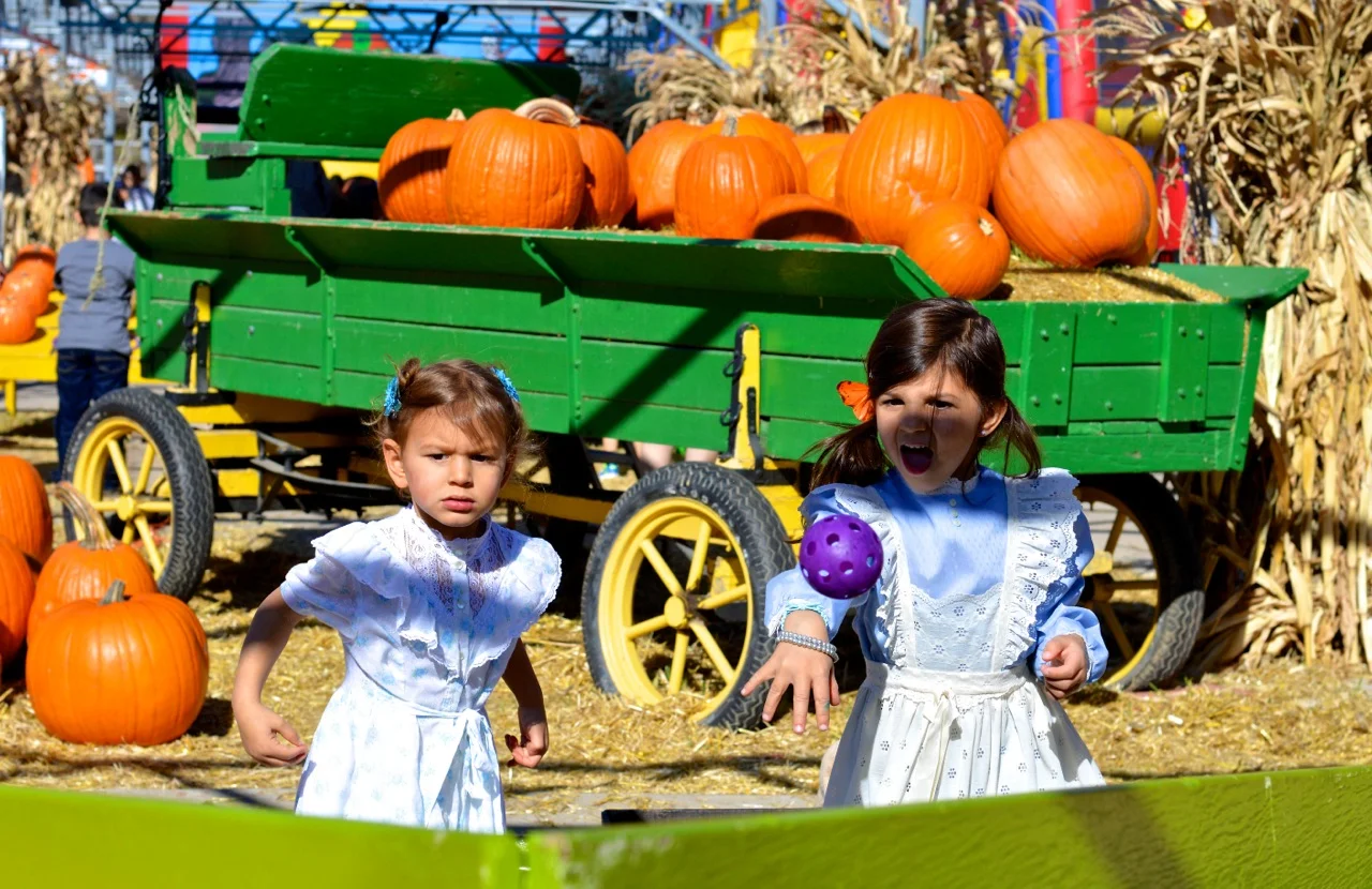 Fall Fest Nick's Garden Center Aurora 13.jpg