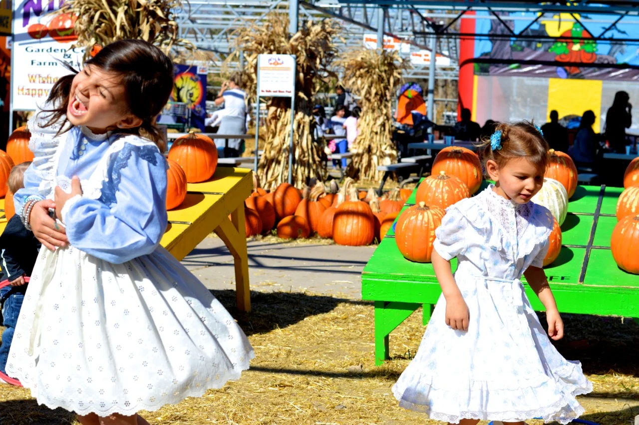 Fall Fest Nick's Garden Center Aurora 21.jpg
