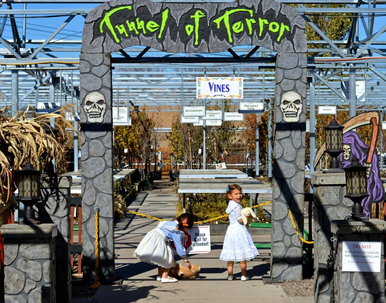 Fall Fest Nick's Garden Center Aurora 25.jpg