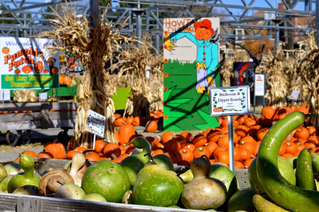 Fall Fest Nick's Garden Center Aurora 33.jpg