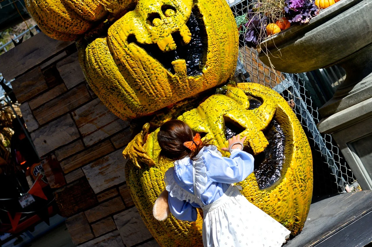 Fall Fest Nick's Garden Center Aurora 44.jpg