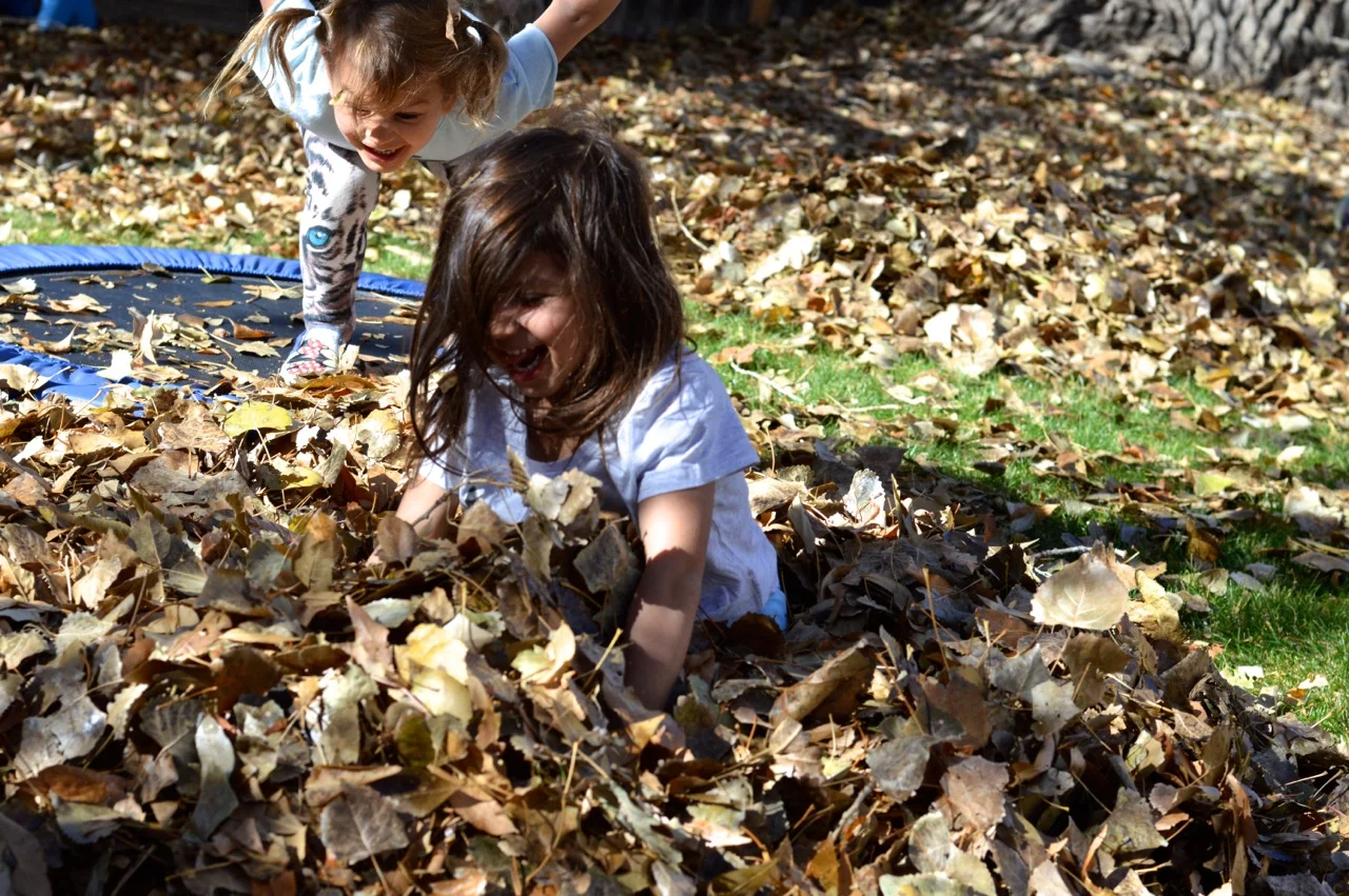 Jumping in Leaves 2.jpg