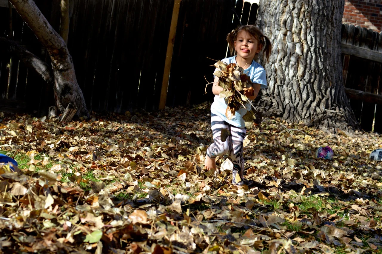 Jumping in Leaves 2018 8.jpg